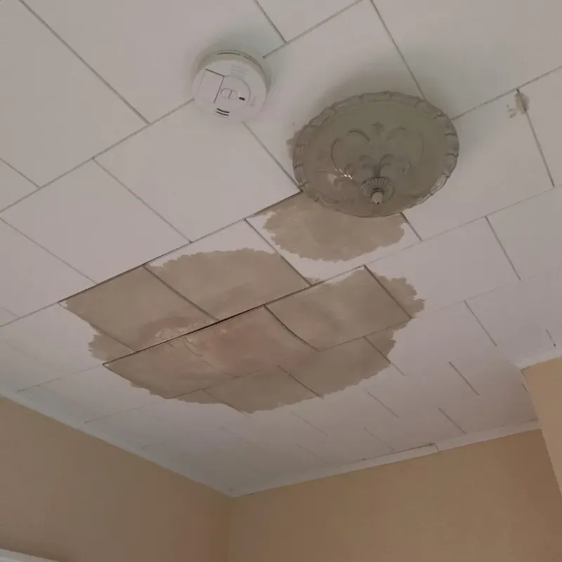 Ceiling Water Damage Repair in Utica, OH