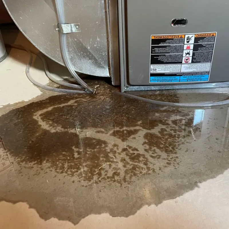 Pipe Burst and Leak Restoration in Utica, OH