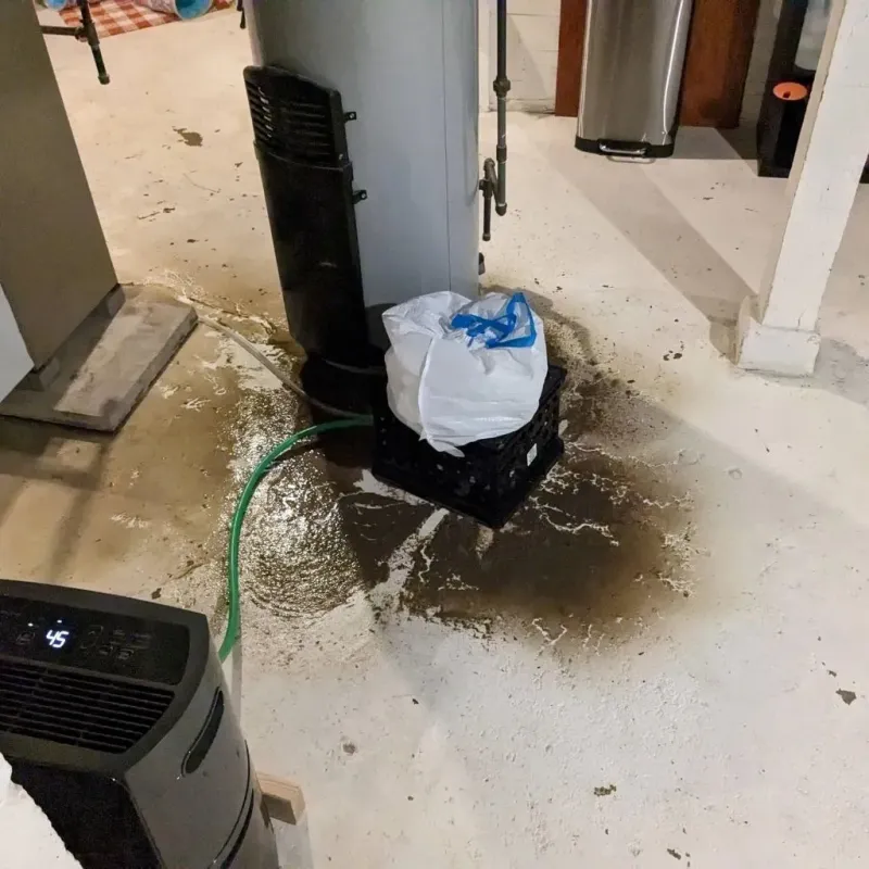 Sewage Backup Cleanup Service in Utica, OH